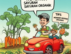 Tips Menanam Sayuran Organik