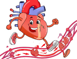 Manfaat Olahraga Jalan Cepat dalam Menjaga Kesehatan Jantung dan Sistem Peredaran Darah