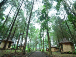 Empat Wisata Alam Banyuwangi yang Cocok Akhir Tahun