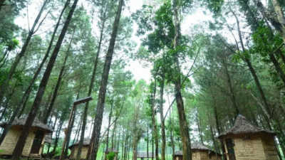 Empat Wisata Alam Banyuwangi yang Cocok Akhir Tahun