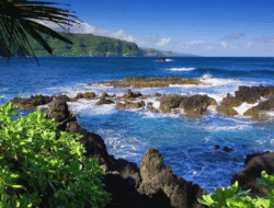 Tren Wisata 2025: Traveling Berkelanjutan dan Eco Friendly yang Makin Populer