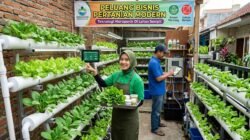 Peluang Bisnis Sektor Pertanian Modern Dengan Memanfaatkan Teknologi Hidroponik Di Lahan Sempit