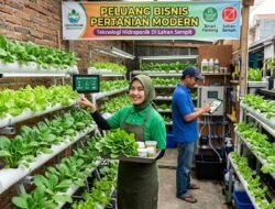 Peluang Bisnis Sektor Pertanian Modern Dengan Memanfaatkan Teknologi Hidroponik Di Lahan Sempit