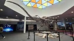 Rekomendasi Museum Paling Interaktif Di Singapura Yang Cocok Untuk Liburan Edukasi Anak