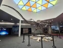 Rekomendasi Museum Paling Interaktif Di Singapura Yang Cocok Untuk Liburan Edukasi Anak