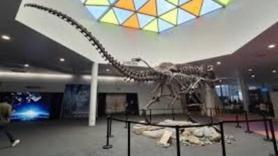 Rekomendasi Museum Paling Interaktif Di Singapura Yang Cocok Untuk Liburan Edukasi Anak